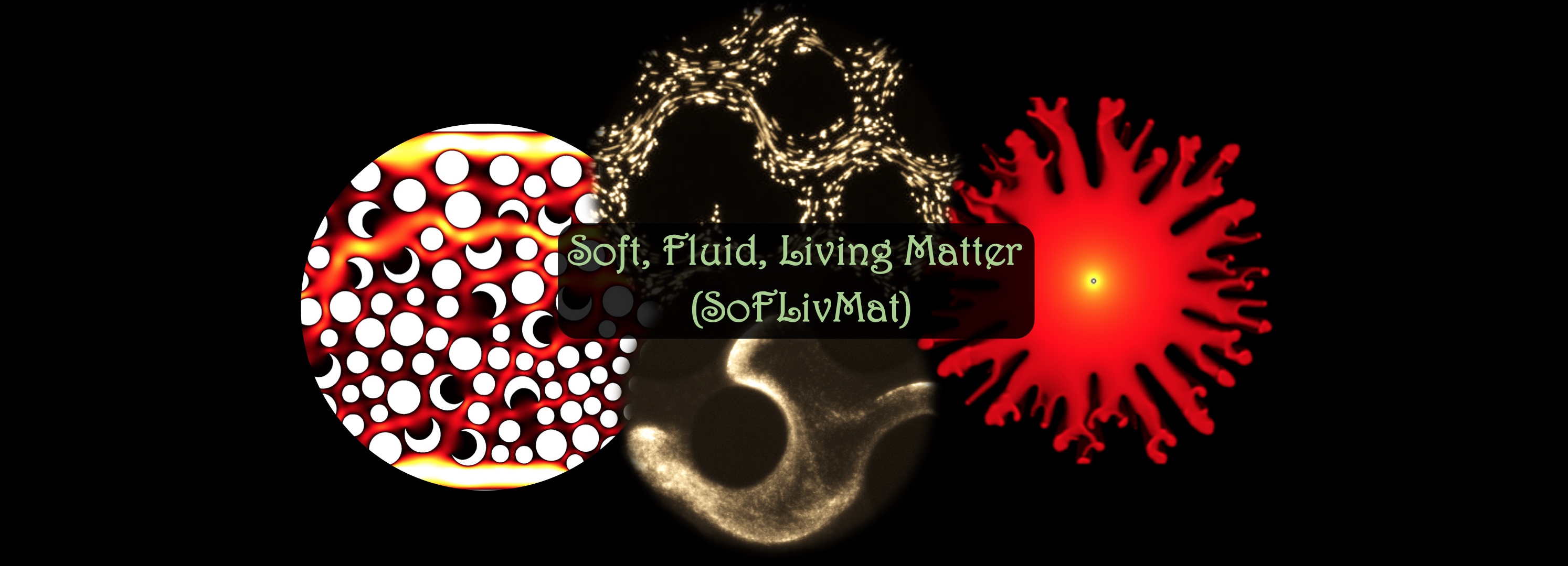 Pahlavan Lab: soft, fluid, living matter
